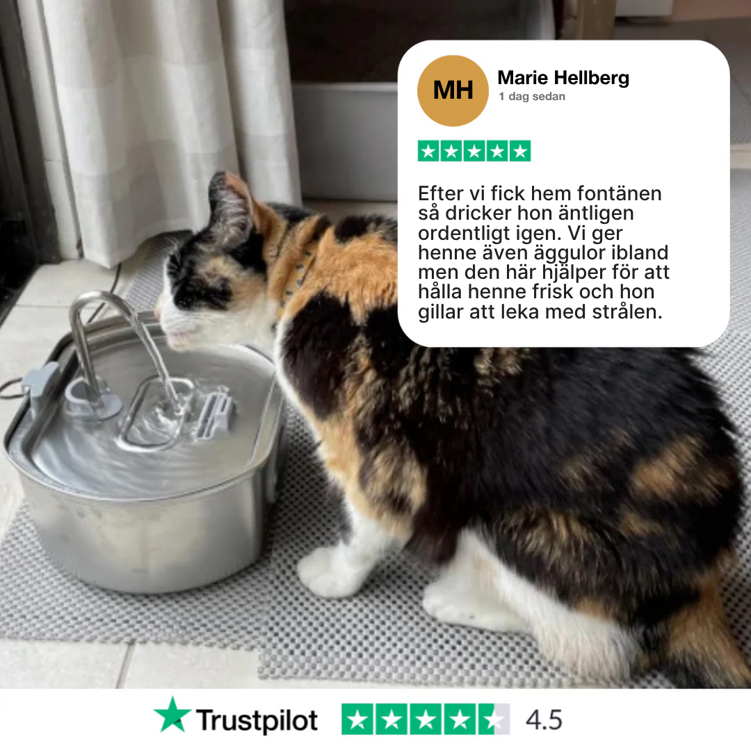 Purrify PRO Stainless Steel Water Fountain